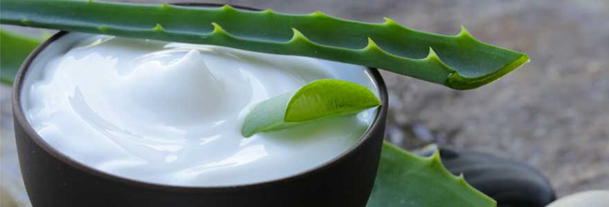 Choisir un produit à base d'aloe vera