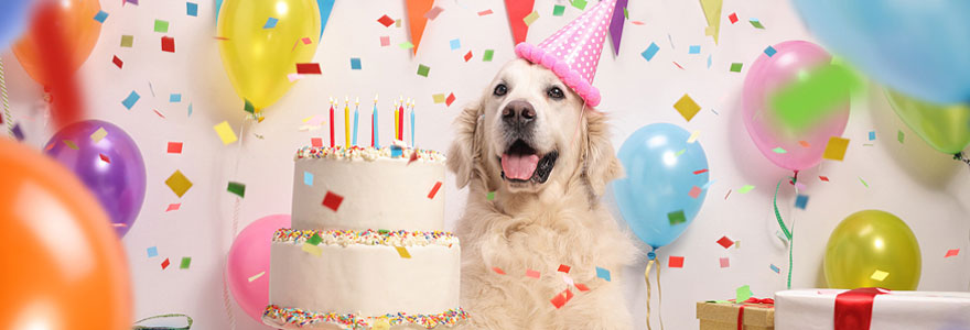 Décoration de fête d'anniversaire